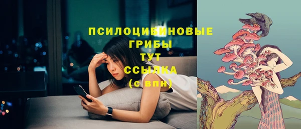 хмурый Куйбышев